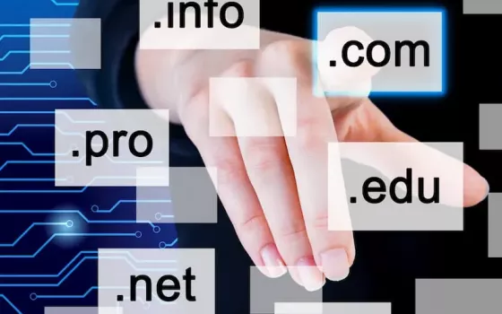 7 Principles to Choose an Effective Domain Name | SkyHost