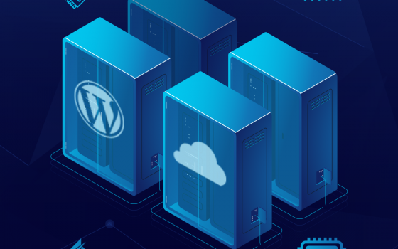 WordPress Hosting - all packages are designed to increase the speed