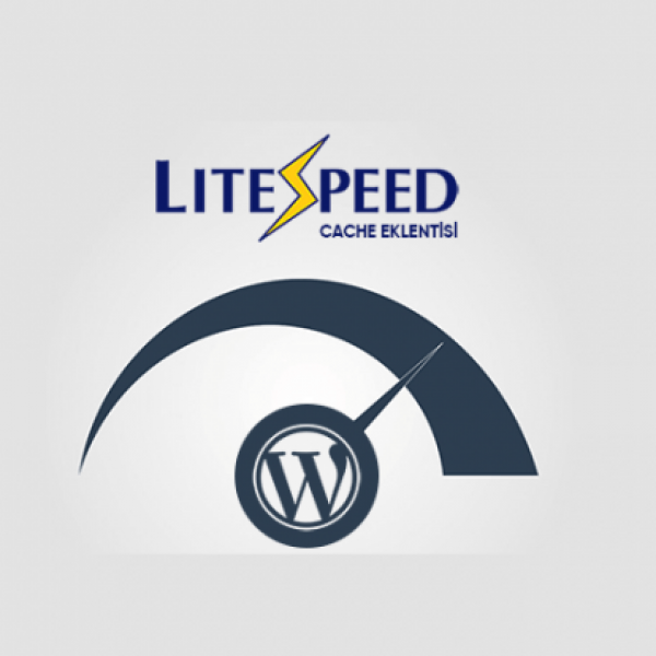 LiteSpeed Web Server