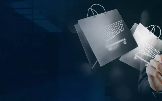 Business Hosting SSD în România - Performanță Superioară pentru E-commerce